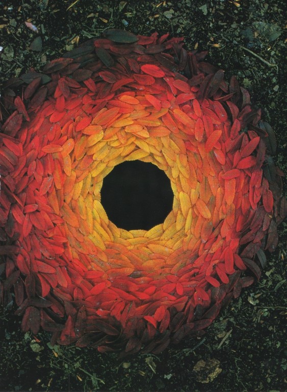 Goldsworthy2